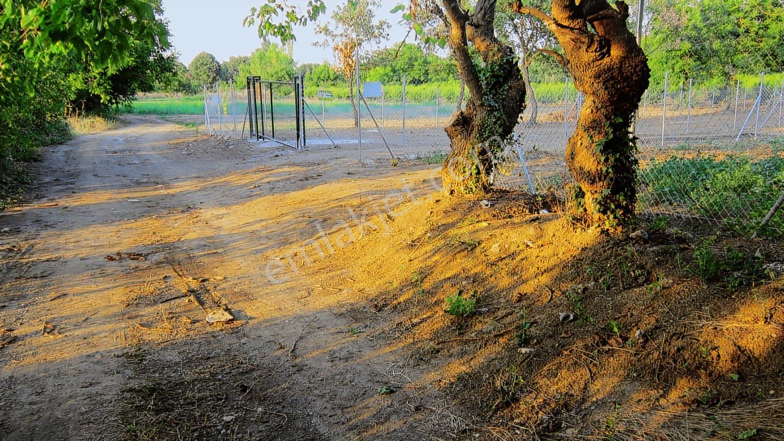 Kayapa Da Kadastro Yoluna Cephe Tel Örgülü 560 M2 Hobi Bahçesi - Görsel 21