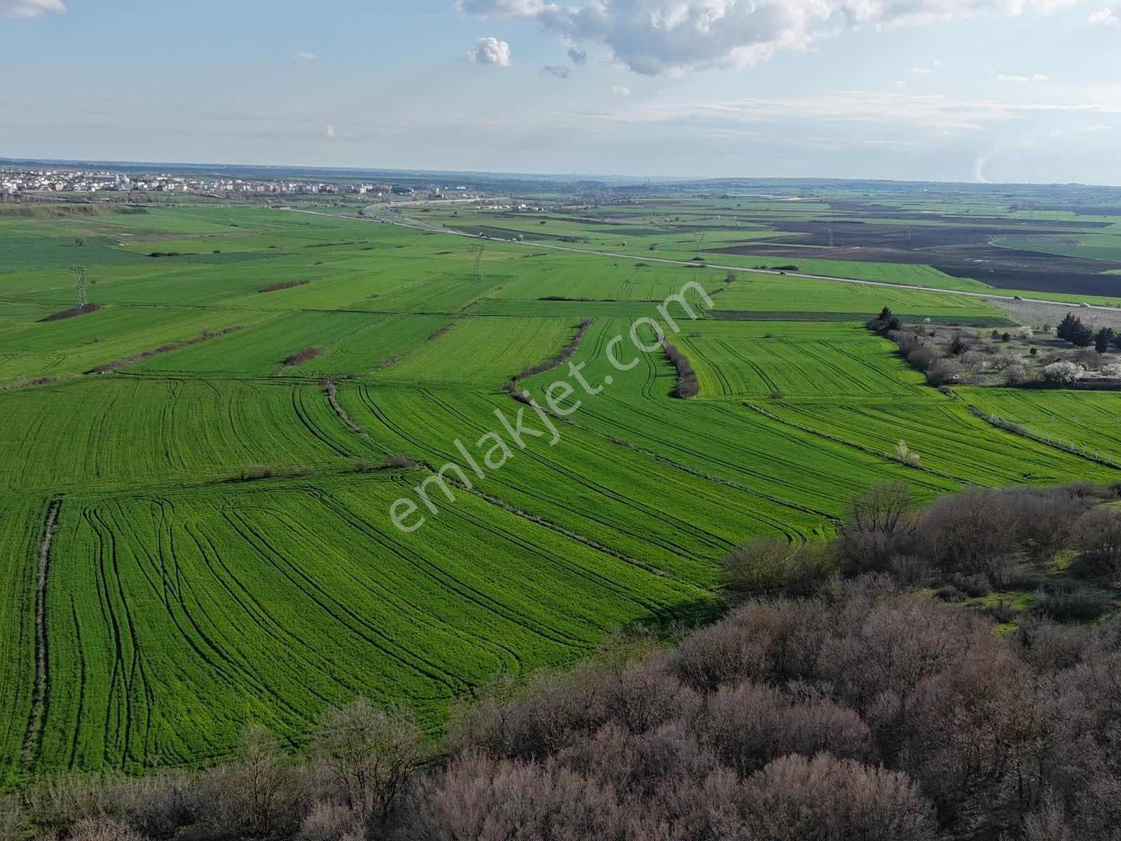 Osmanlı Emlaktan Saray Yeni De Kupon Tarla - Görsel 17