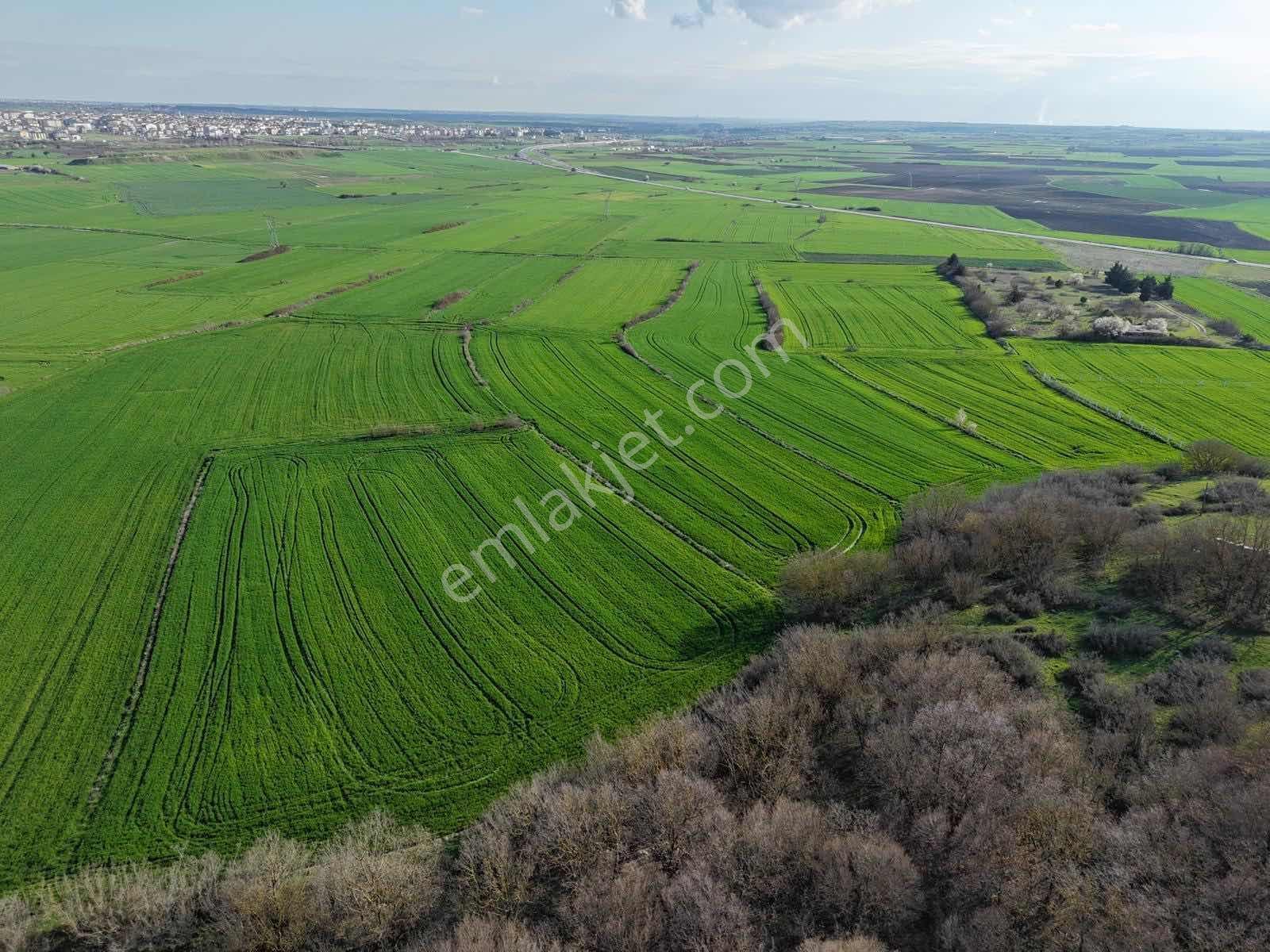 Osmanlı Emlaktan Saray Yeni De Kupon Tarla - Görsel 19