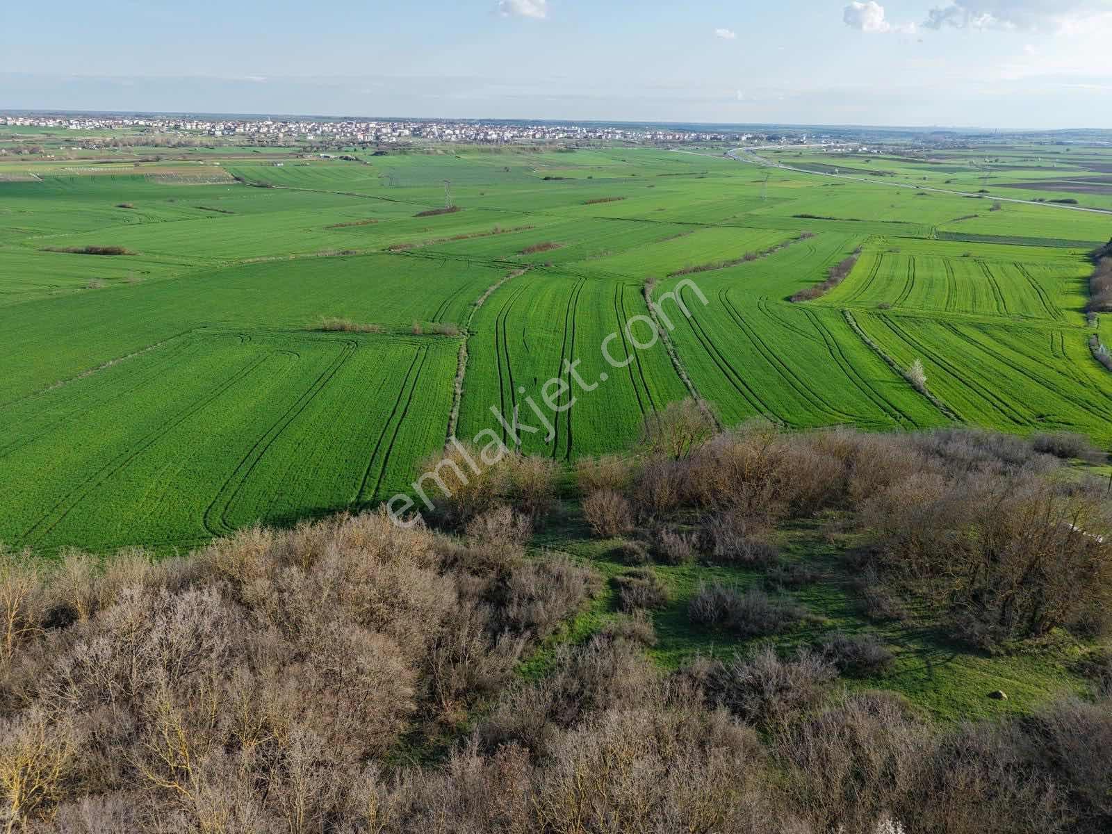 Osmanlı Emlaktan Saray Yeni De Kupon Tarla - Görsel 15