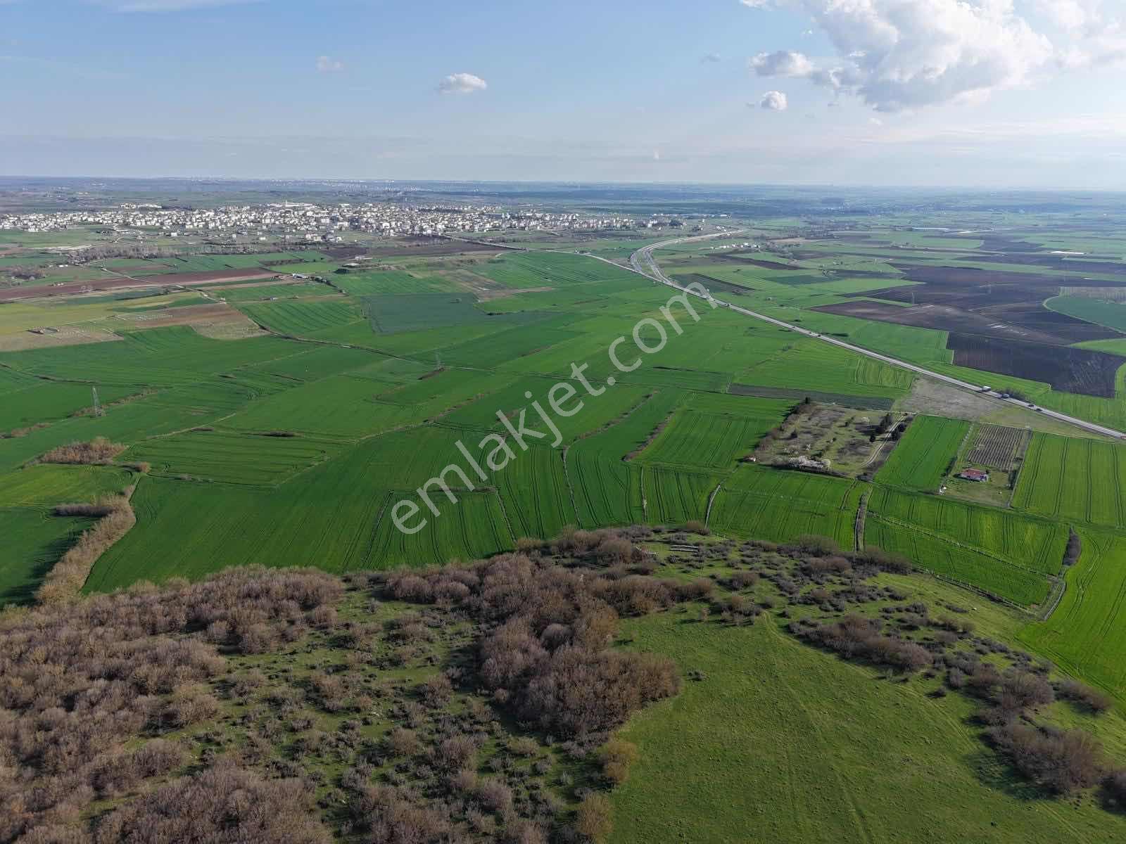 Osmanlı Emlaktan Saray Yeni De Kupon Tarla