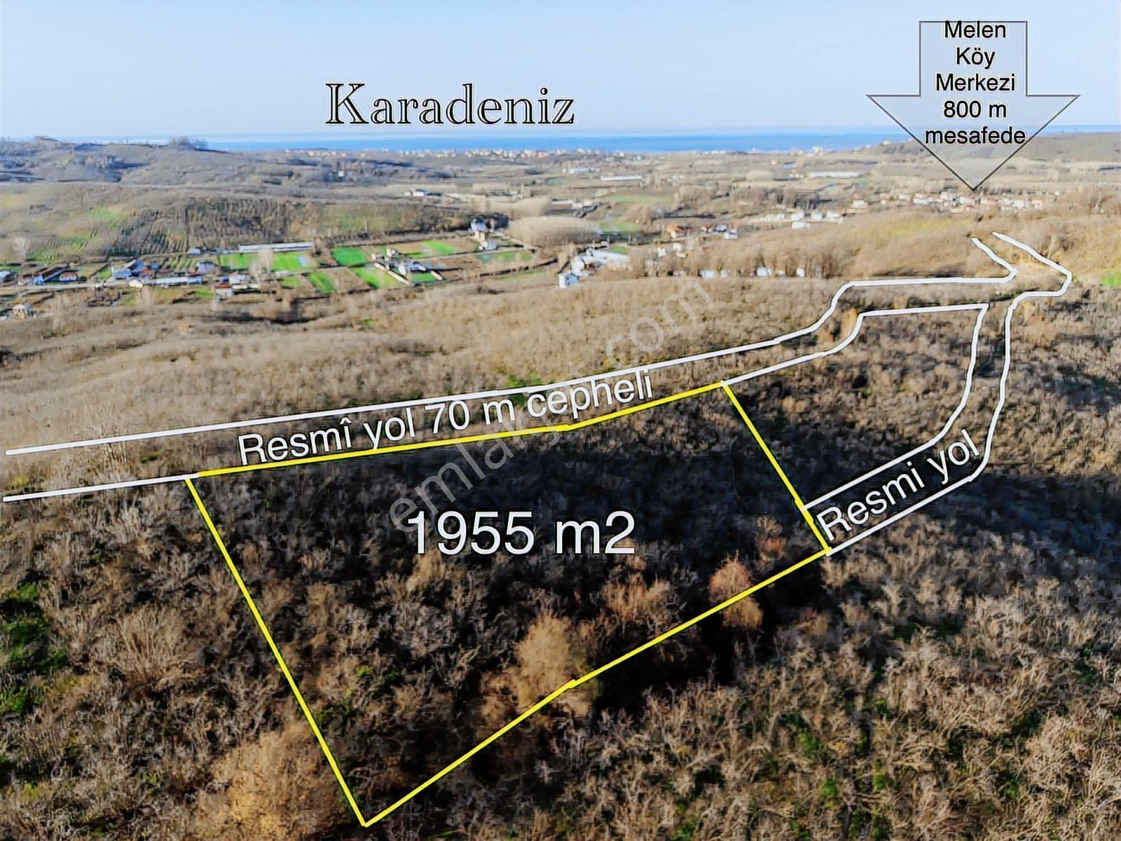 Melen Köyü 1955 M2 Full Deniz Manzaralı Satılık Fındık Bahçesi