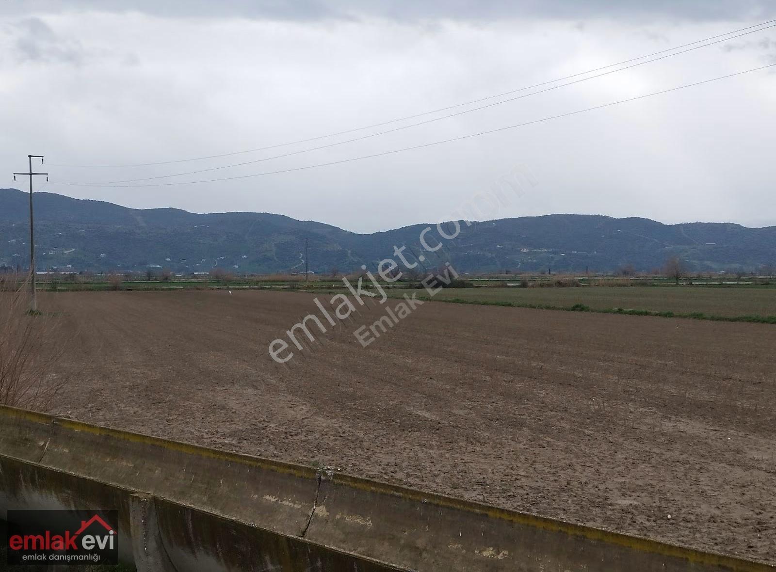 Aydın Şehir Merkezine Çok Yakın Satılık Tarla - Görsel 20