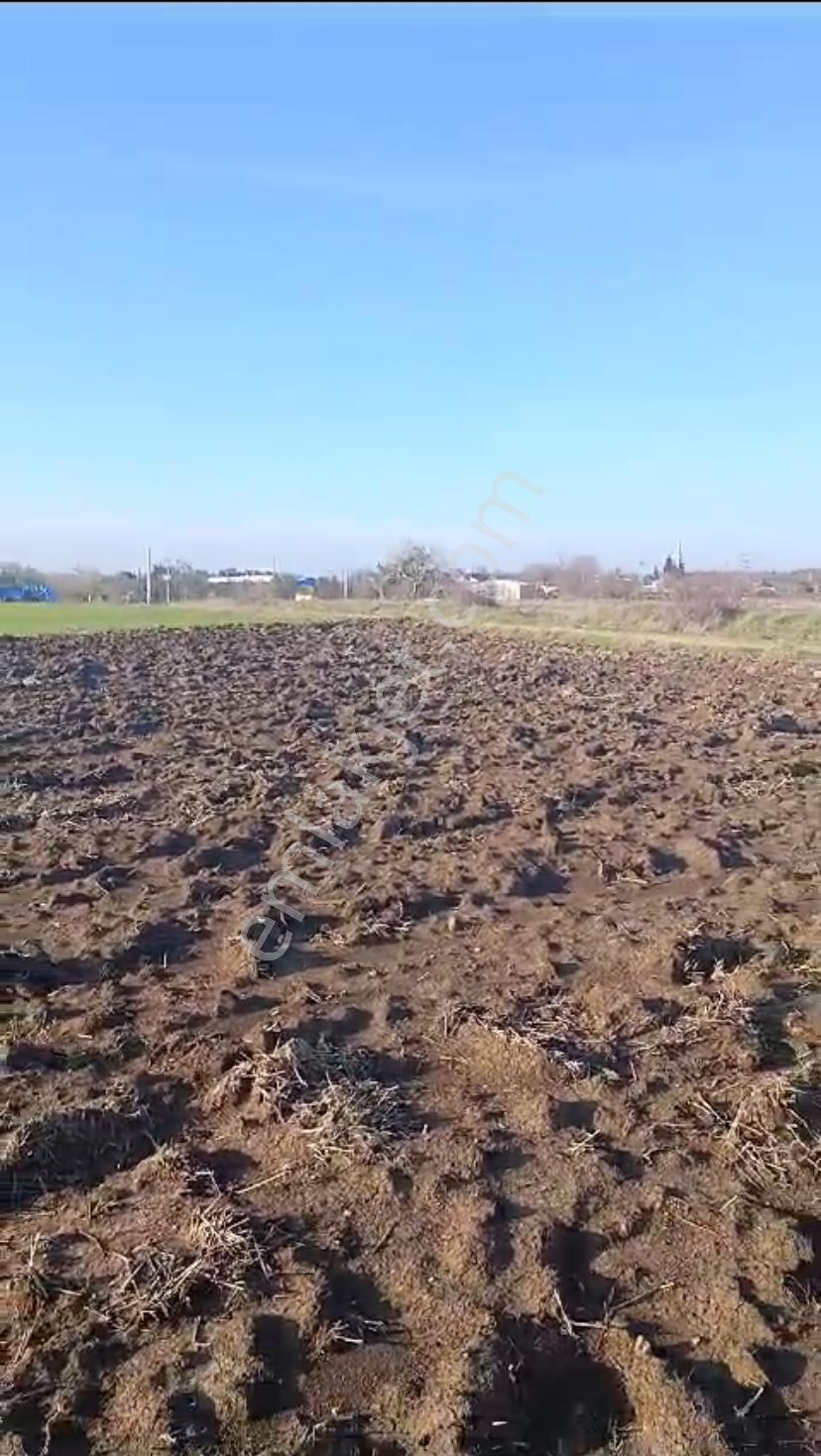 Uzunköprü Maksutlu Köyünde İmara Yakın Satılık Tarla 1.246 M2 - Görsel 2
