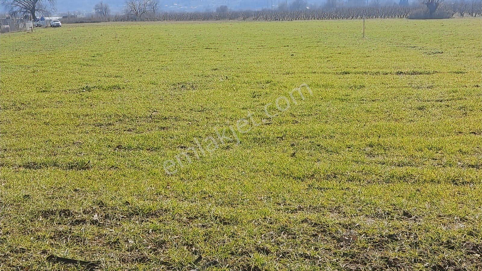 Kayapa Asfalt Yola Bir Parsel Mesafede 1930m2 Satılık Arazi 20/3 - Görsel 29