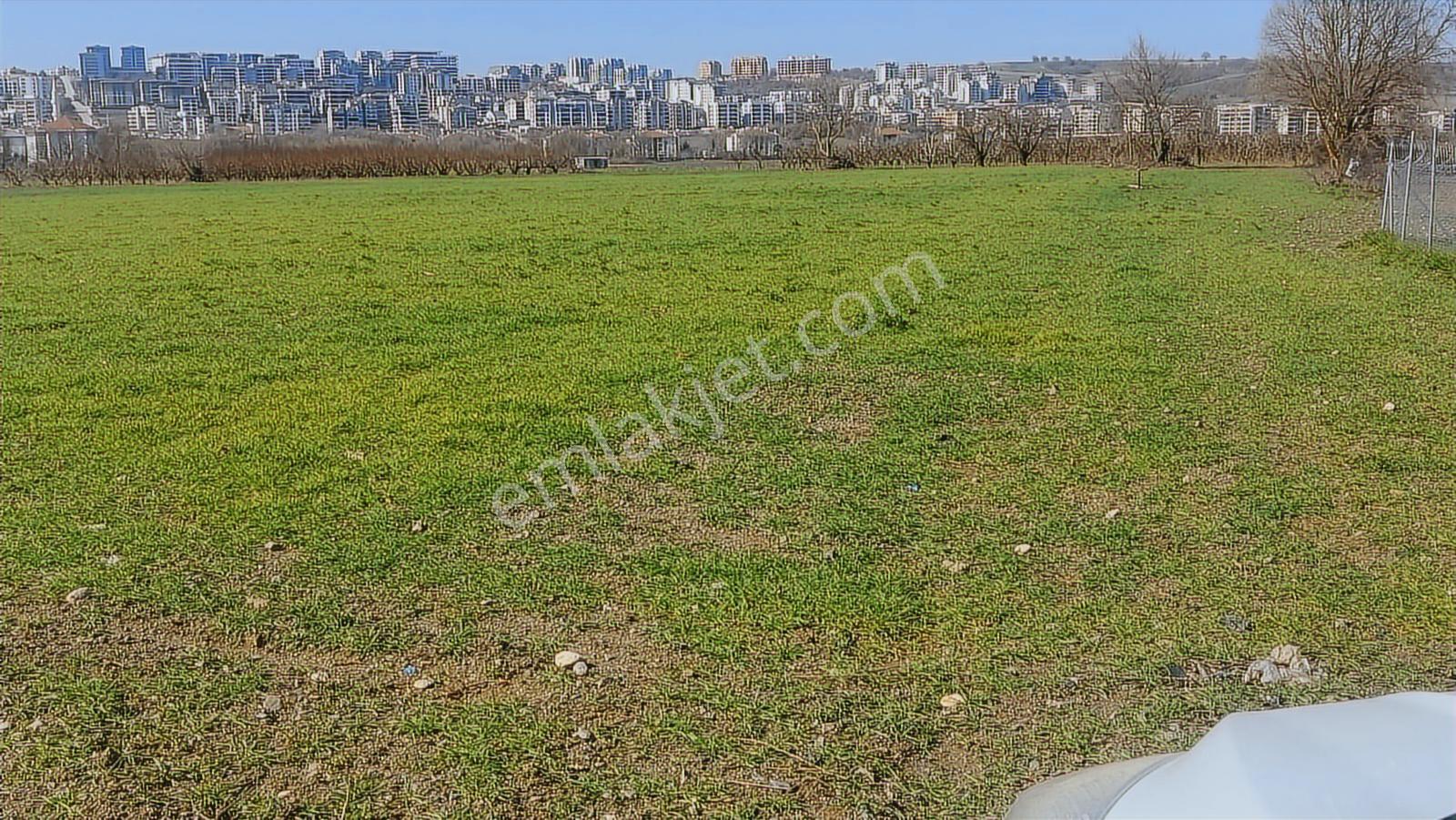 Kayapa Asfalt Yola Bir Parsel Mesafede 1930m2 Satılık Arazi 20/3 - Görsel 24