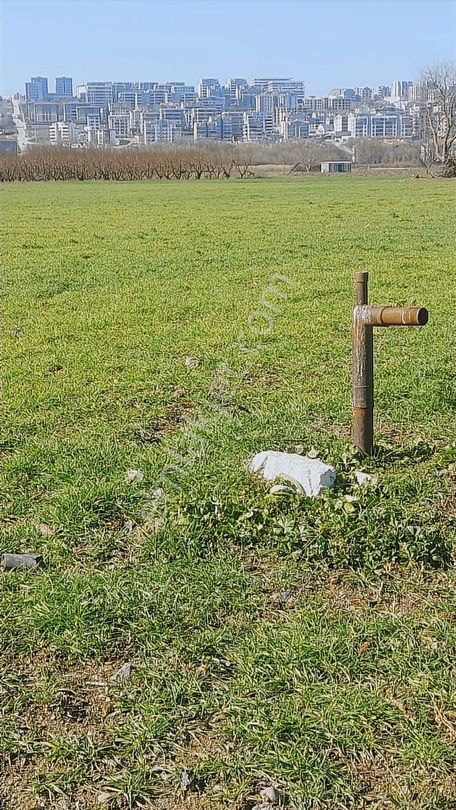 Kayapa Asfalt Yola Bir Parsel Mesafede 1930m2 Satılık Arazi 20/3 - Görsel 25