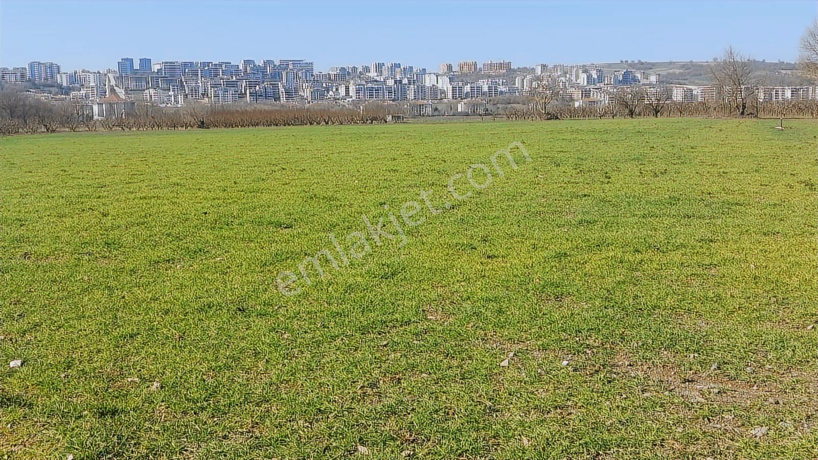 Kayapa Asfalt Yola Bir Parsel Mesafede 1930m2 Satılık Arazi 20/3 - Görsel 6