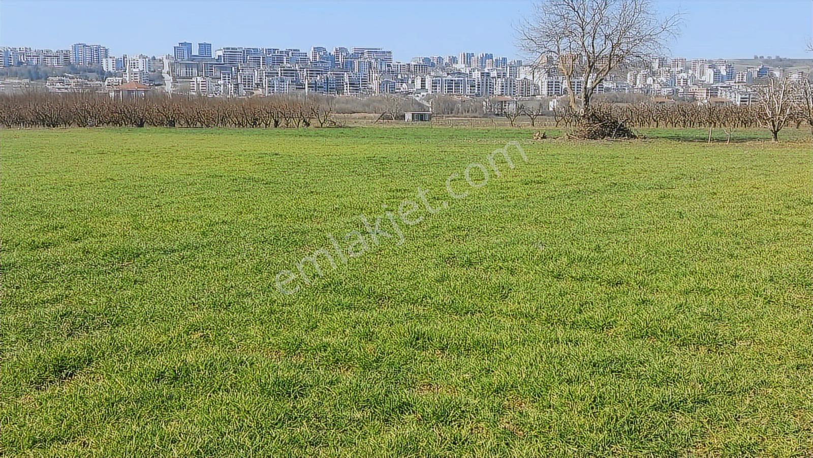 Kayapa Asfalt Yola Bir Parsel Mesafede 1930m2 Satılık Arazi 20/3