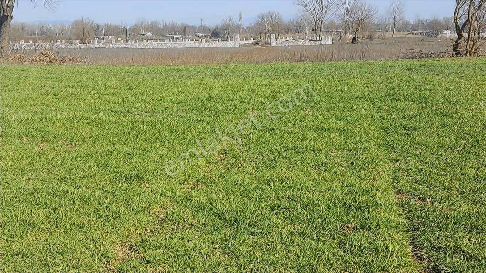 Kayapa Asfalt Yola Bir Parsel Mesafede 1930m2 Satılık Arazi 20/3 - Görsel 31