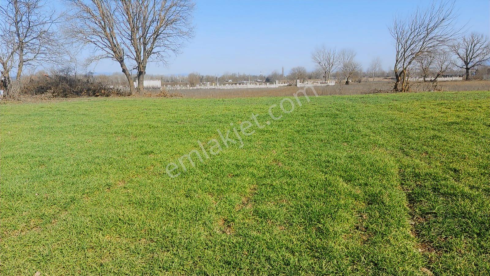 Kayapa Asfalt Yola Bir Parsel Mesafede 1930m2 Satılık Arazi 20/3 - Görsel 7