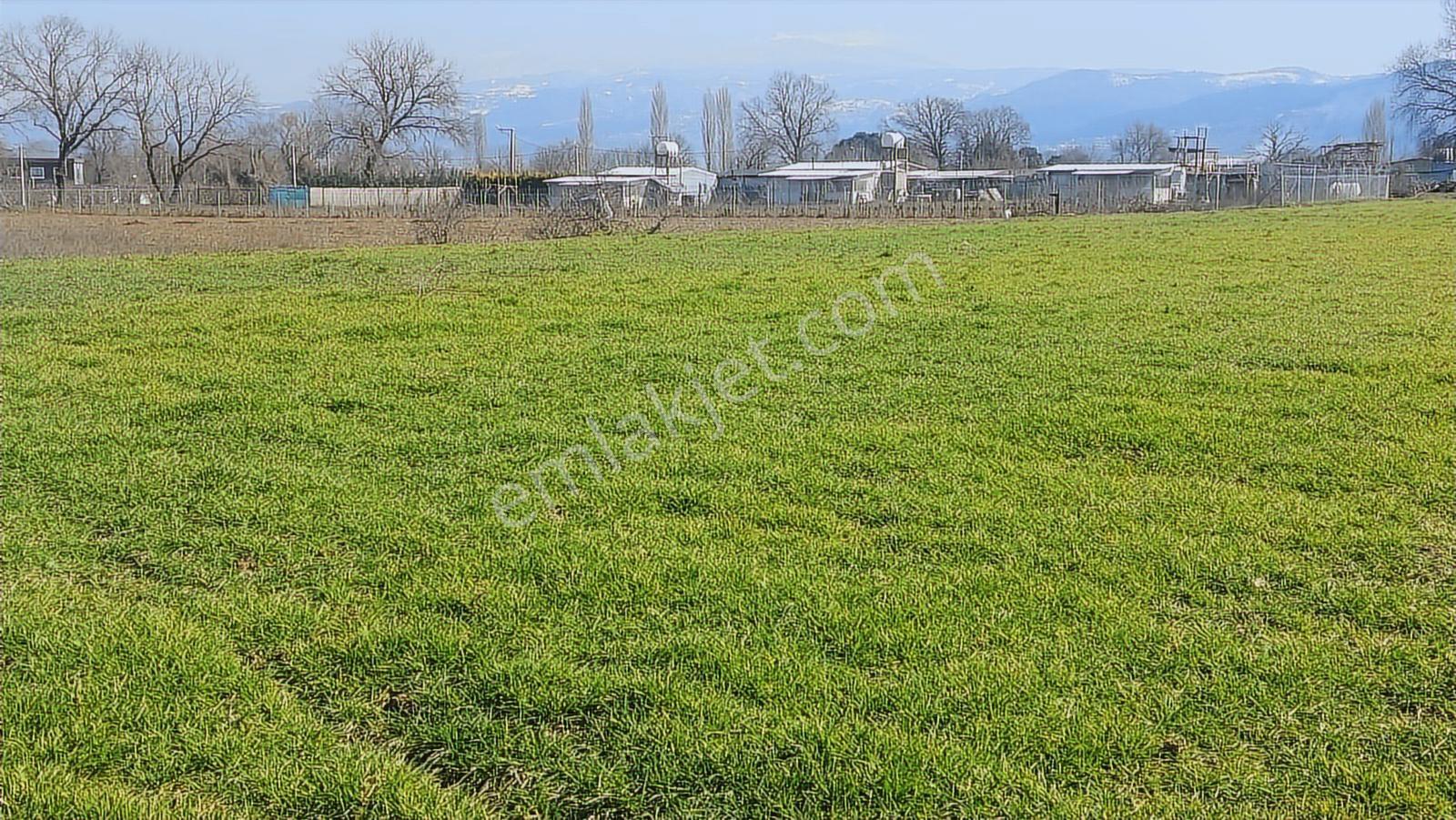 Kayapa Asfalt Yola Bir Parsel Mesafede 1930m2 Satılık Arazi 20/3 - Görsel 17