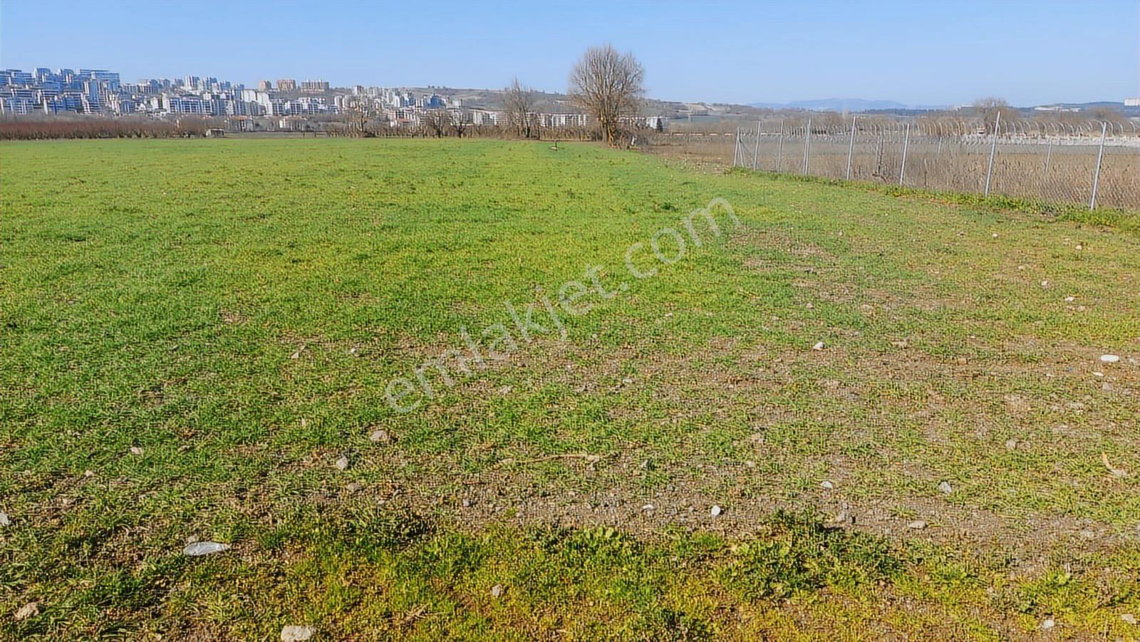 Kayapa Asfalt Yola Bir Parsel Mesafede 1930m2 Satılık Arazi 20/3 - Görsel 22