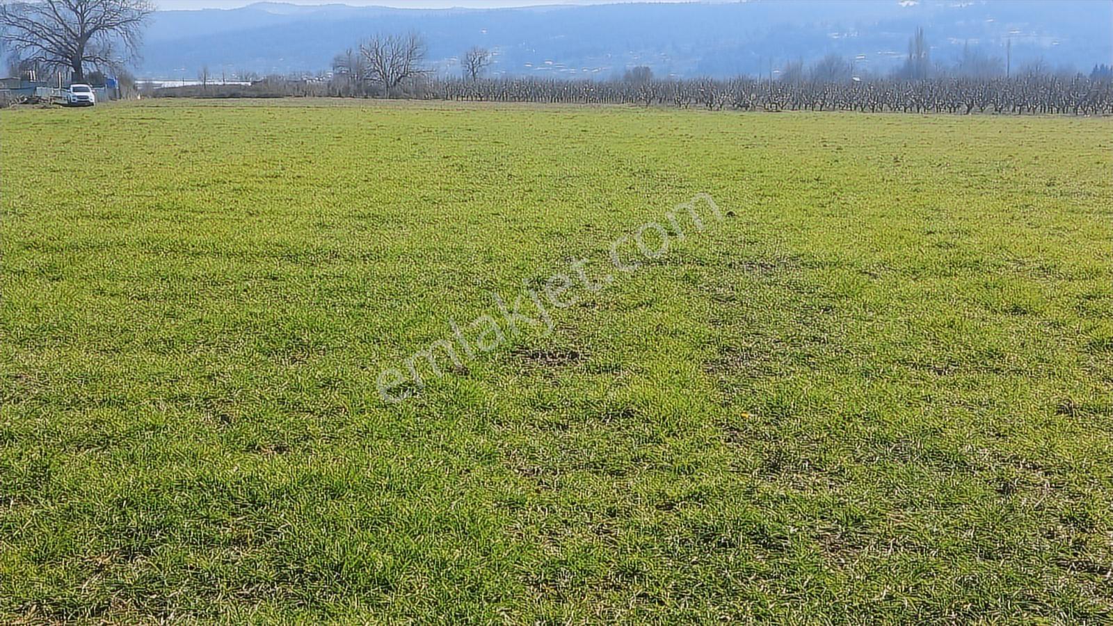Kayapa Asfalt Yola Bir Parsel Mesafede 1930m2 Satılık Arazi 20/3 - Görsel 30