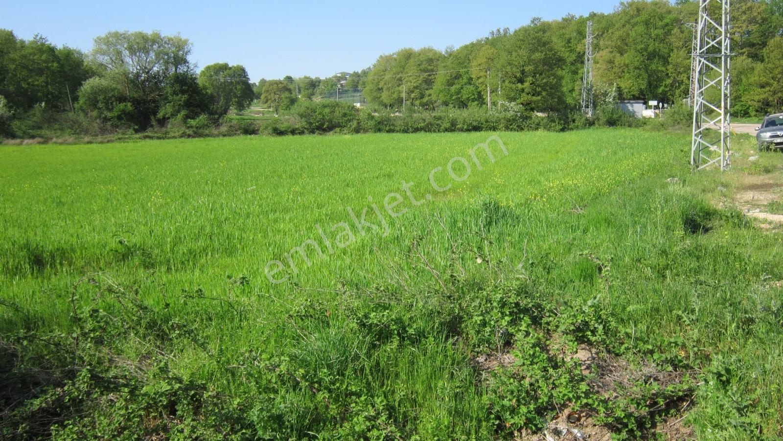 Bursa Nilüfer Uncukuru'nda Ana Yola Cephe 5720 M2 Kiralık Arazi - Görsel 30