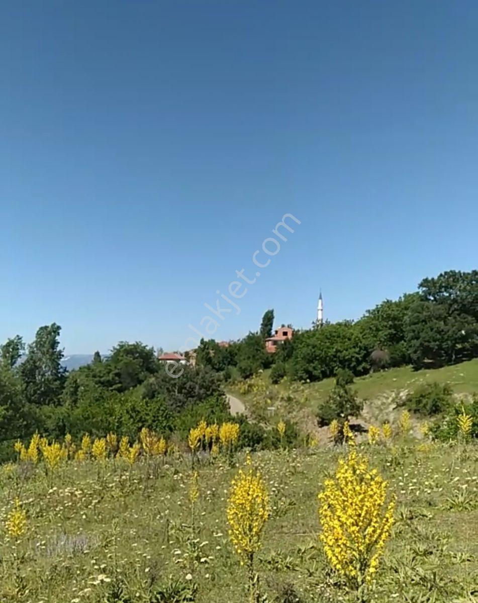 Satılık Köy İçi 1920 M2 Resmi Yola Cepheli Ev Yapımına Uygun - Görsel 11