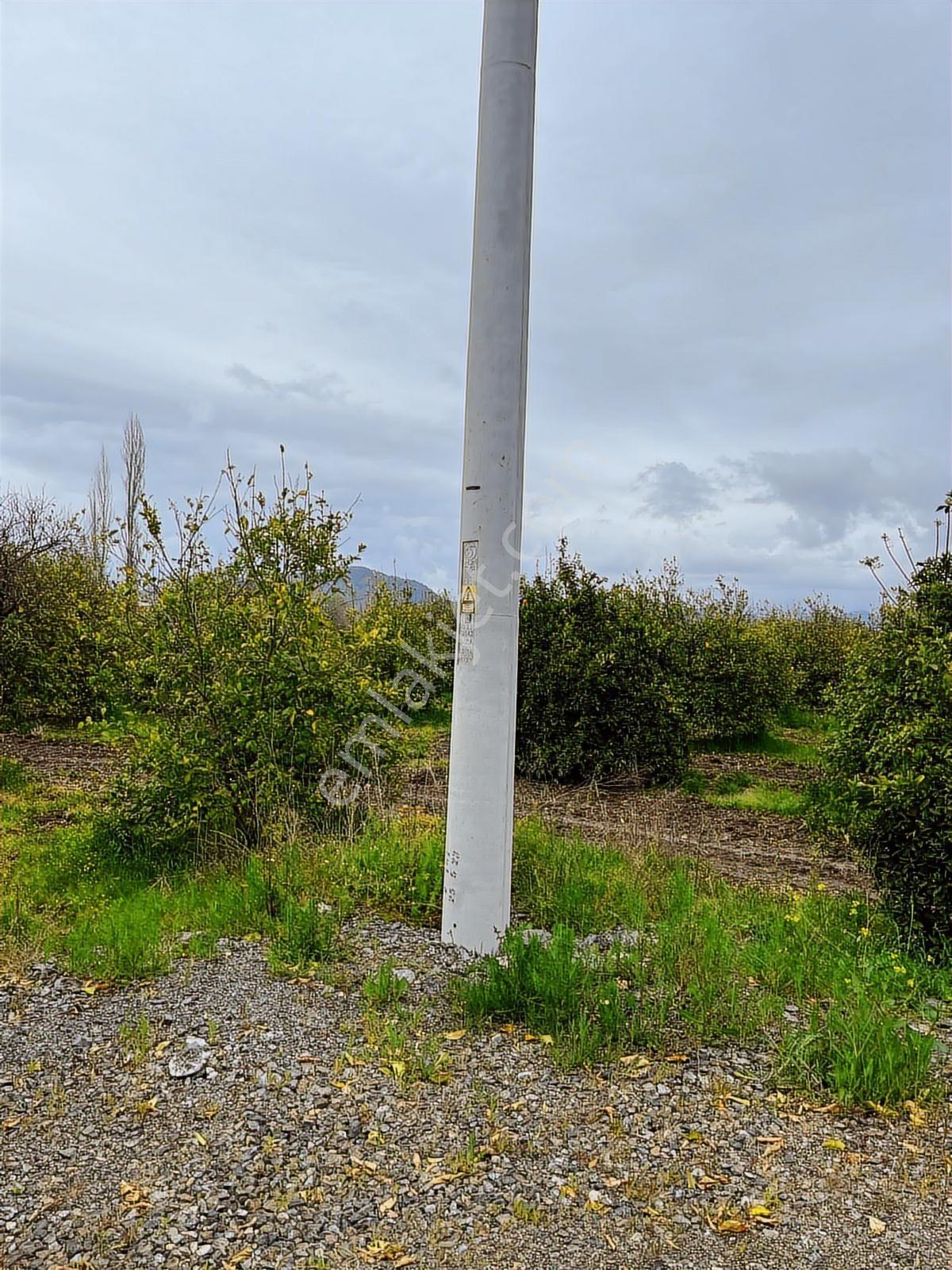 Muğla Ortaca Okçular'da Satılık 2218 M2 Arsa - Görsel 9