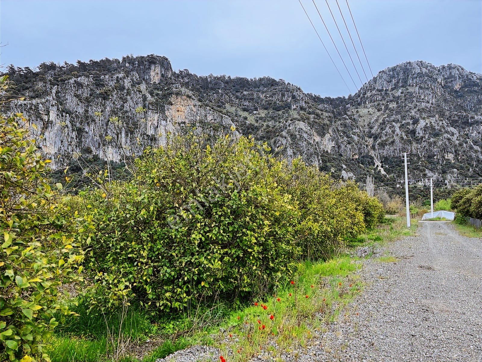 Muğla Ortaca Okçular'da Satılık 2218 M2 Arsa - Görsel 5
