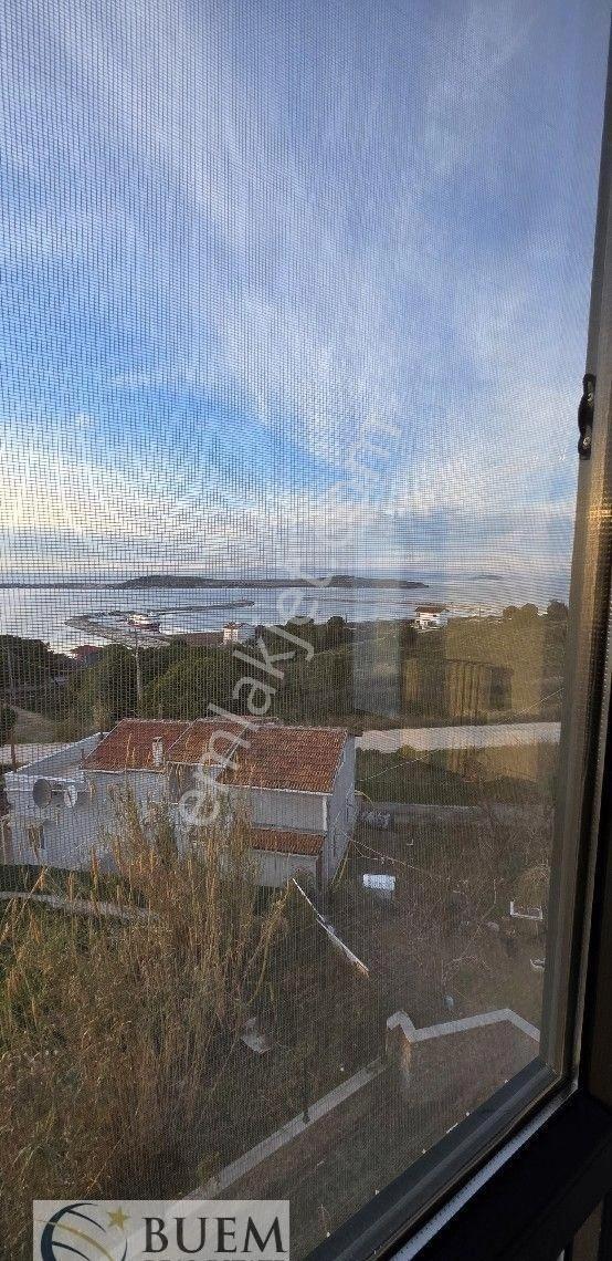 Avşa Adası Mavi Koyda 3+2 Bahçeli Eşyalı Dublex Fırsat Fiyatı - Görsel 5