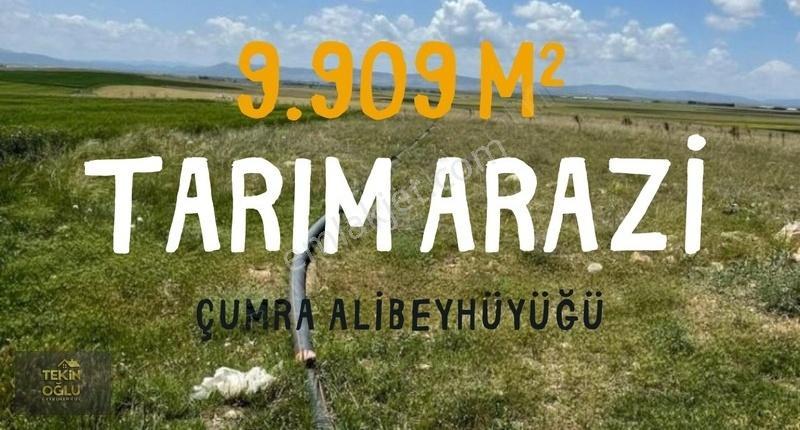 Çumra Alibeyhüyüğü 9.909 M² Müstakil Sulak Tarım Arazisi