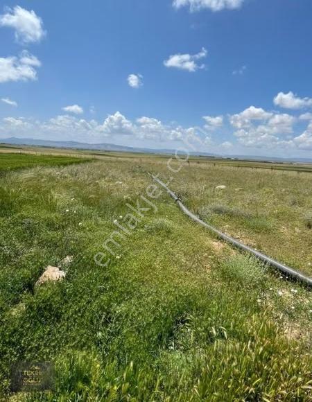 Çumra Alibeyhüyüğü 9.909 M² Müstakil Sulak Tarım Arazisi - Görsel 13