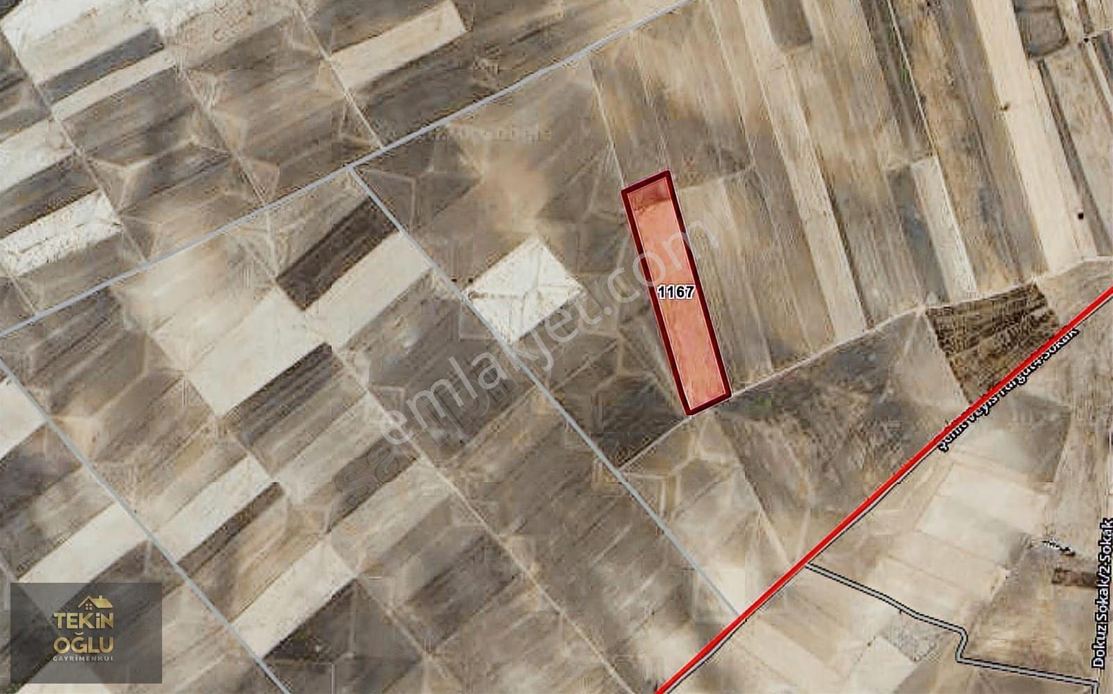 Aksaray Merkez Kutlu'da 58.600 M² Müstakil Tapulu Tarla - Görsel 5