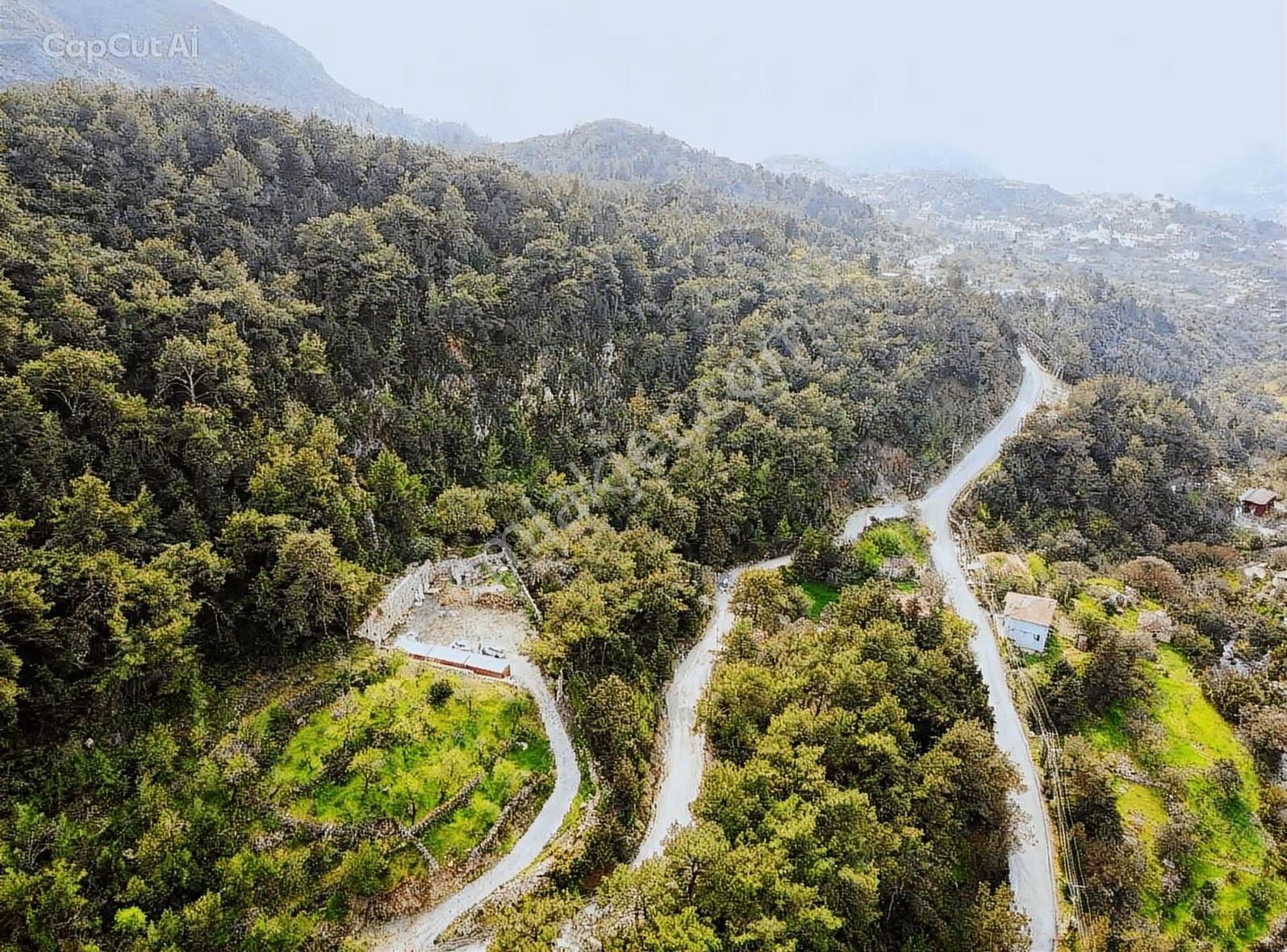 Söğüt'te Satılık Uygun Arazi - Görsel 11