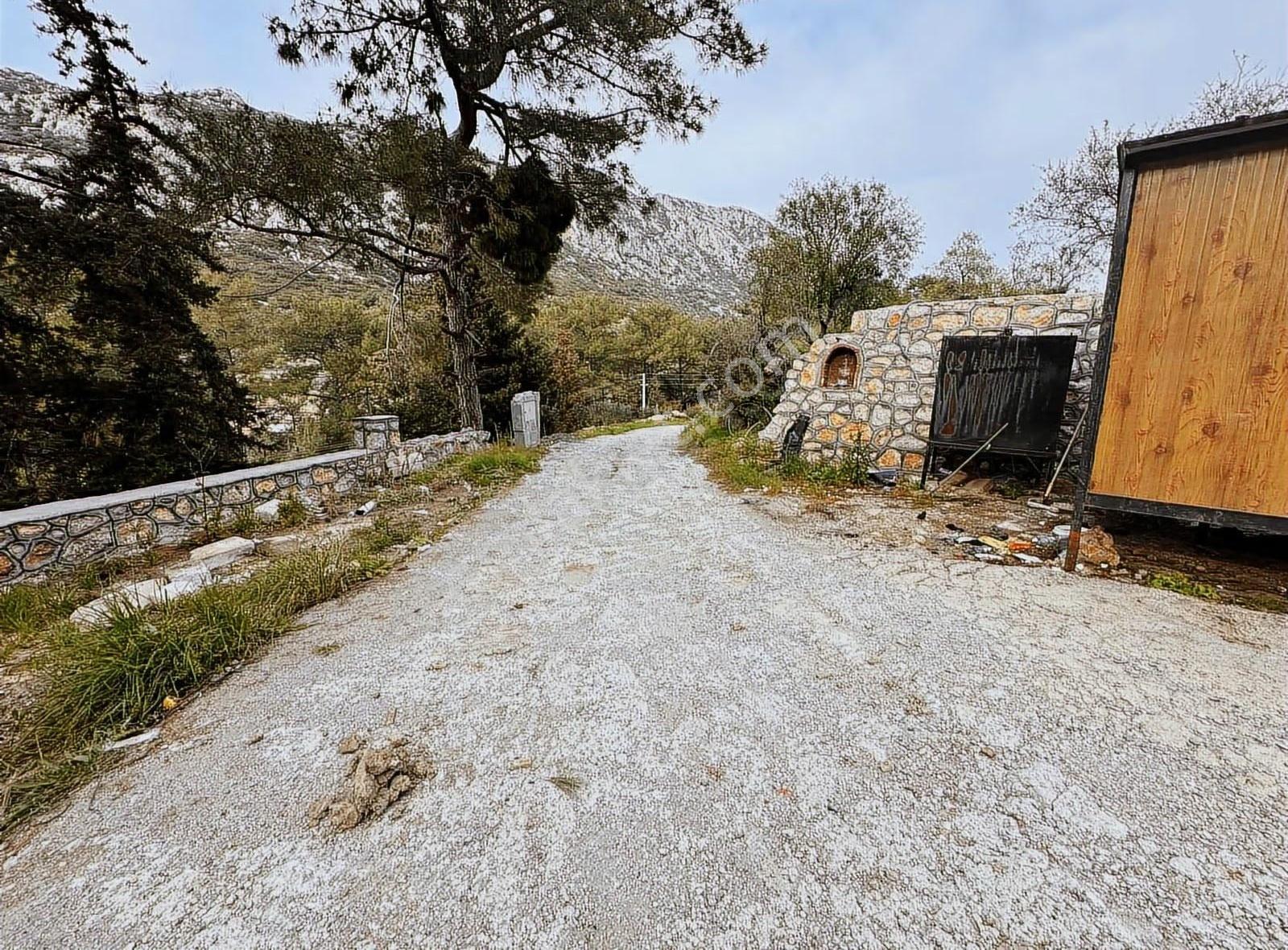 Söğüt'te Satılık Uygun Arazi - Görsel 12
