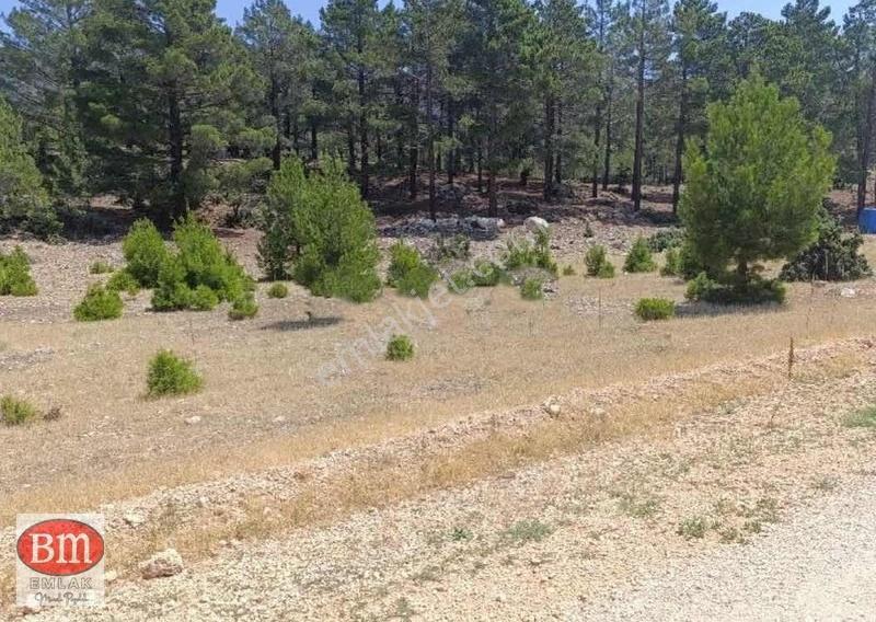 Bm"den Mut Kayaönünde Ana Yola Çok Yakın 10.032m2 Arsa - Görsel 3