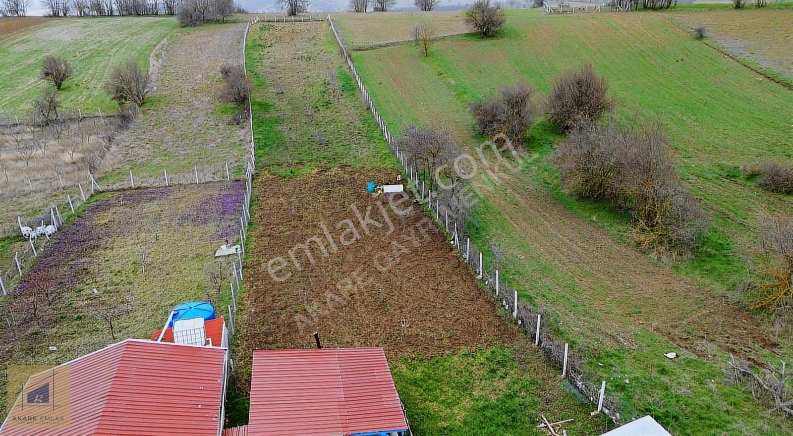 Osmanlının Başkenti Söğüt Kızılsaray Köyünde Yeşillerin İçinde - Görsel 9