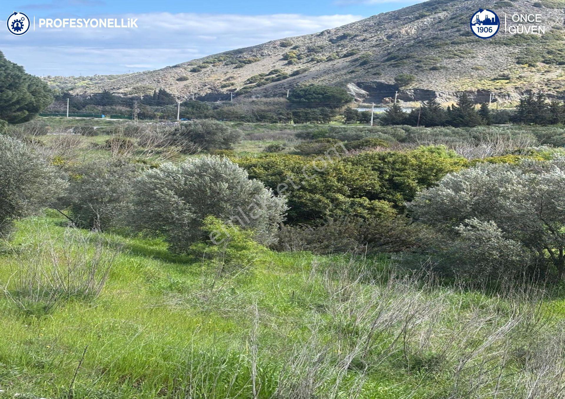 Karaburun Hasseki'de 9330 M² Satılık Tarla - Görsel 5