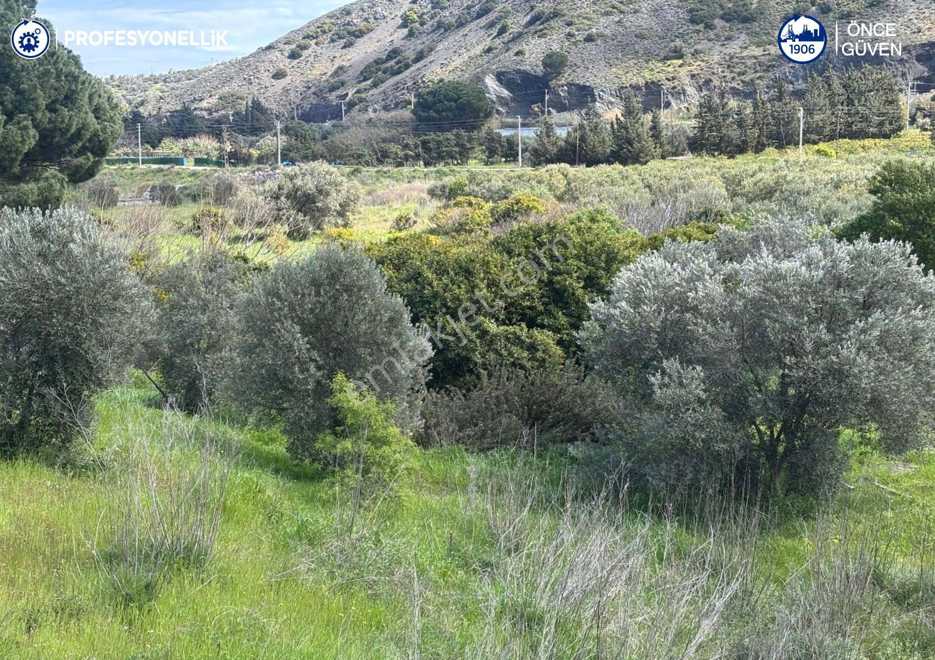 Karaburun Hasseki'de 9330 M² Satılık Tarla - Görsel 4