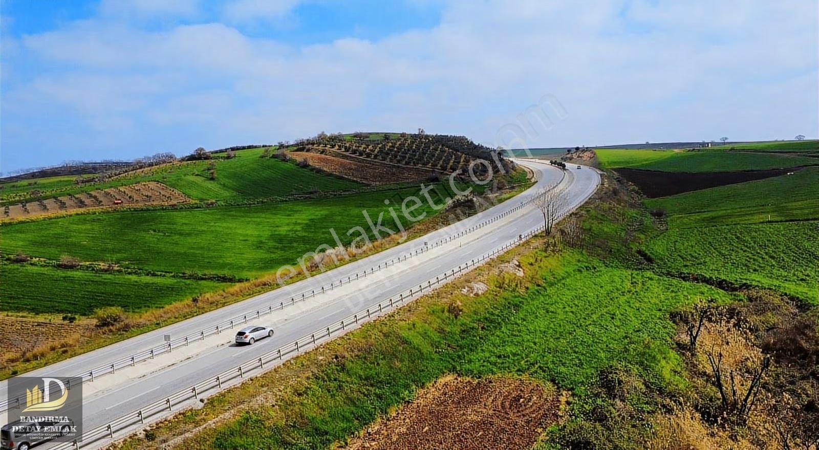 Gönen Gebeçınar'da Deniz Manzaralı, Asfalt Cepheli Meyve Bahçesi - Görsel 5