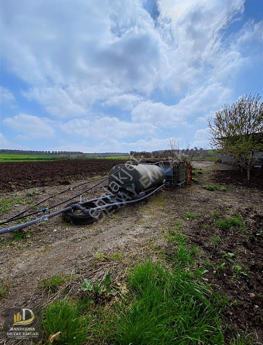 Gönen Gebeçınar'da Deniz Manzaralı, Asfalt Cepheli Meyve Bahçesi - Görsel 30