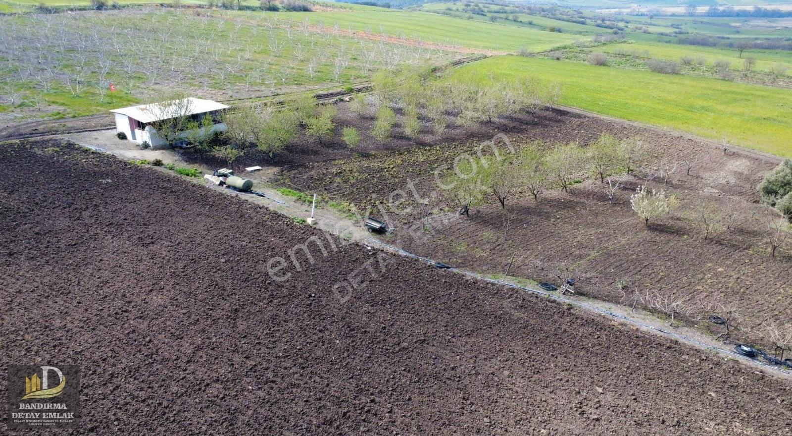 Gönen Gebeçınar'da Deniz Manzaralı, Asfalt Cepheli Meyve Bahçesi - Görsel 19