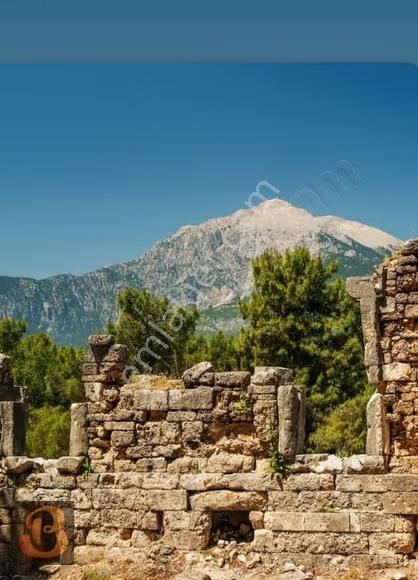 Antalya Olympos Ta Satılık 11000 M2 Arazi İçinde 4 Adet Ev.... - Görsel 12