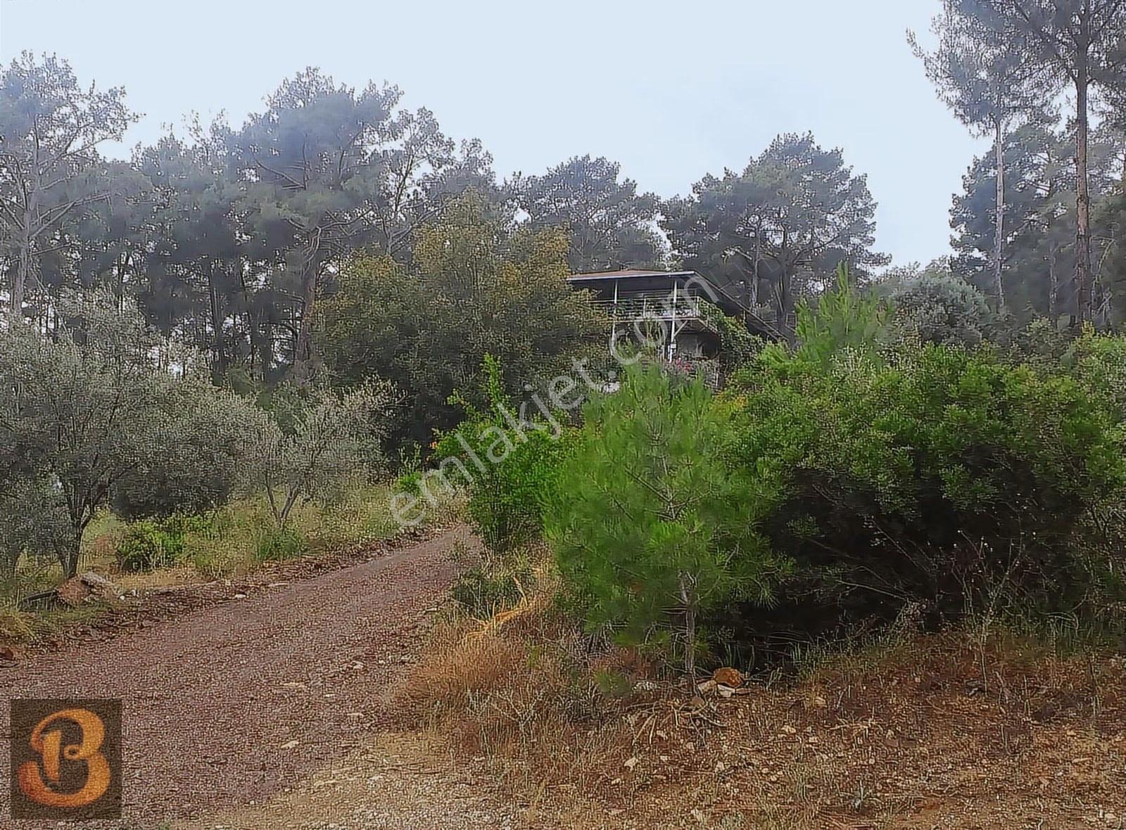 Antalya Olympos Ta Satılık 11000 M2 Arazi İçinde 4 Adet Ev.... - Görsel 6