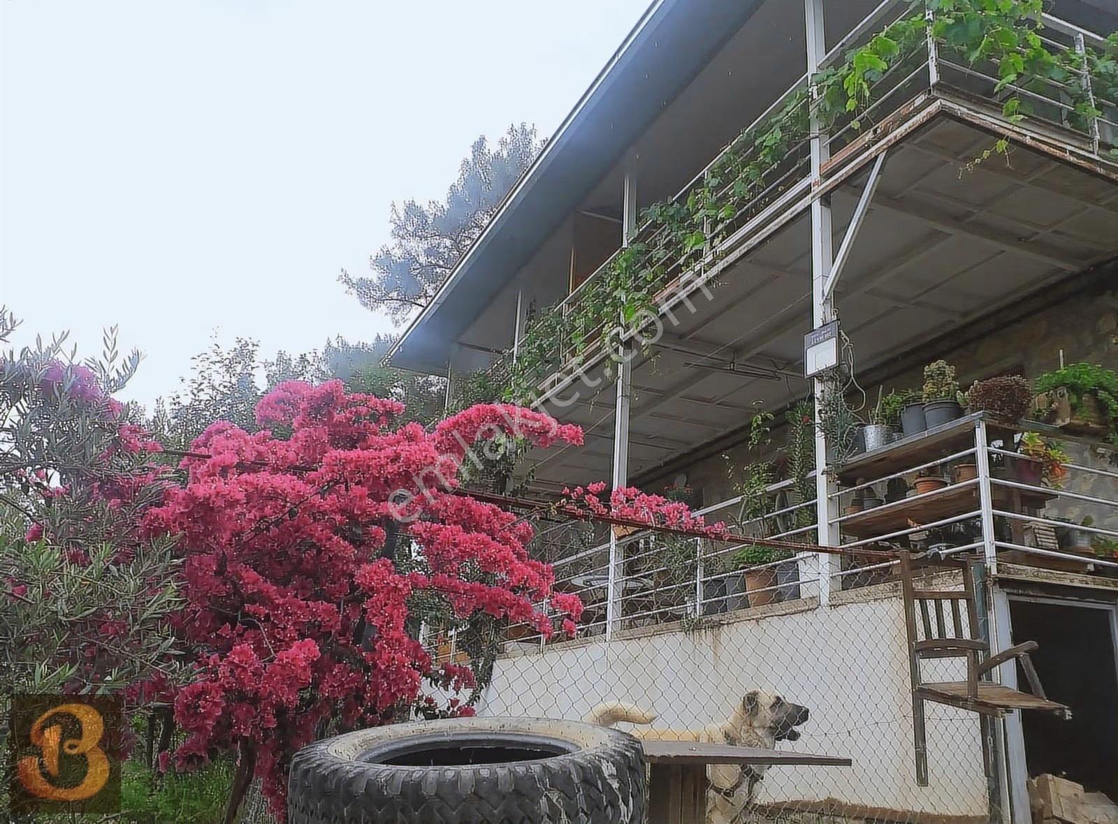 Antalya Olympos Ta Satılık 11000 M2 Arazi İçinde 4 Adet Ev.... - Görsel 5