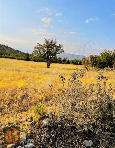 Salda Gölü Manzaralı Satılık Arazi 8000 M2