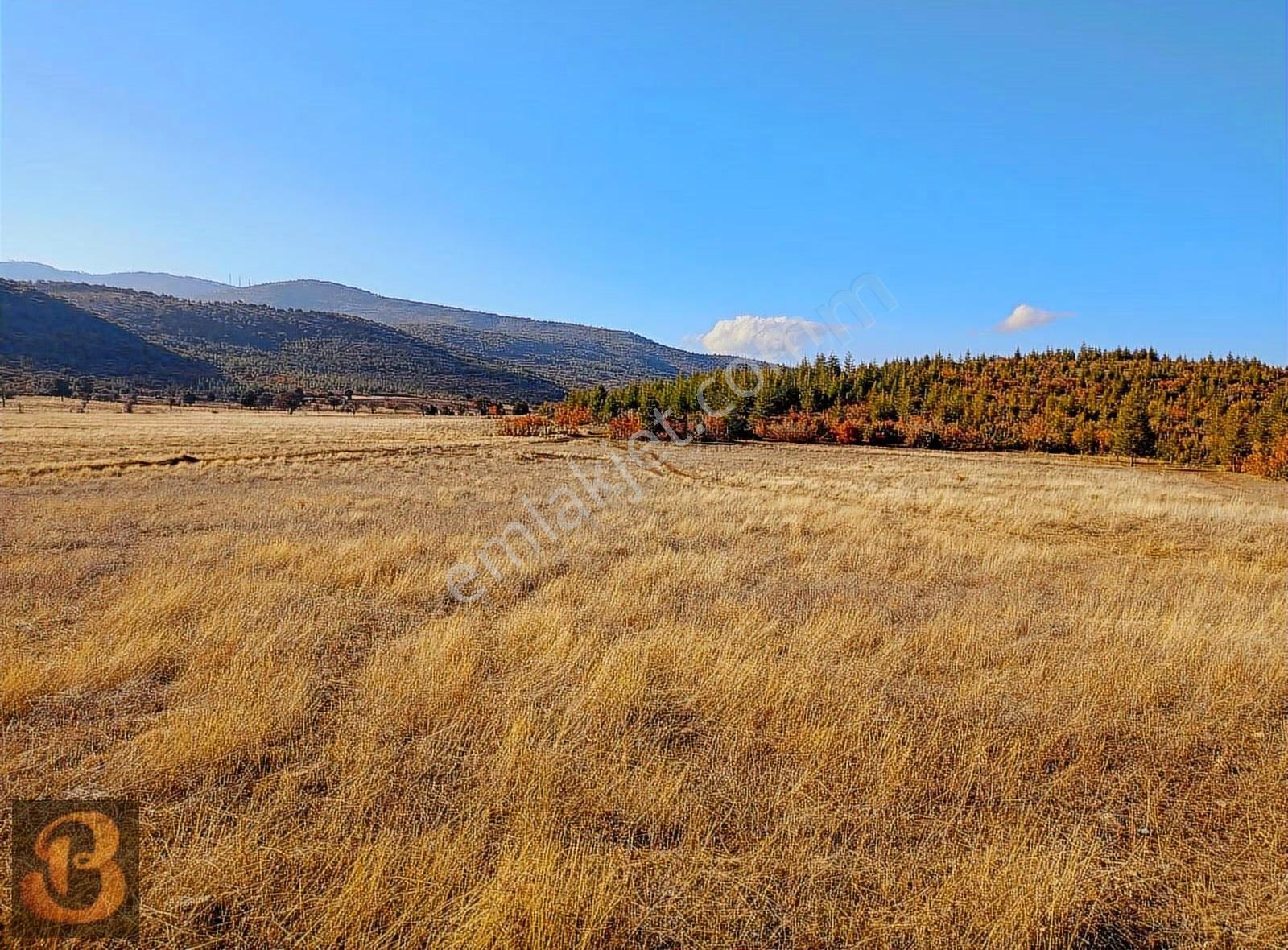 Burdur Yeşilova Salda Gölüne Yakın Satılık 2800 M2 Arazi....