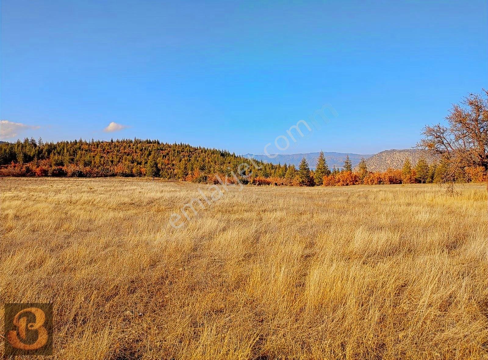 Salda Gölüne Yakın Satılık 2600 M2 Arazi