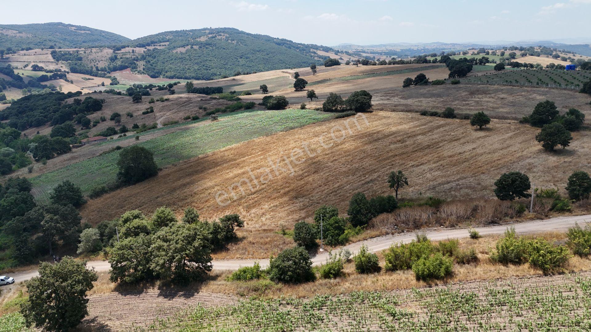 Rookzbalşehir'den Çanacık Mah. Satılık 17.629 M2 Tarla - Görsel 28