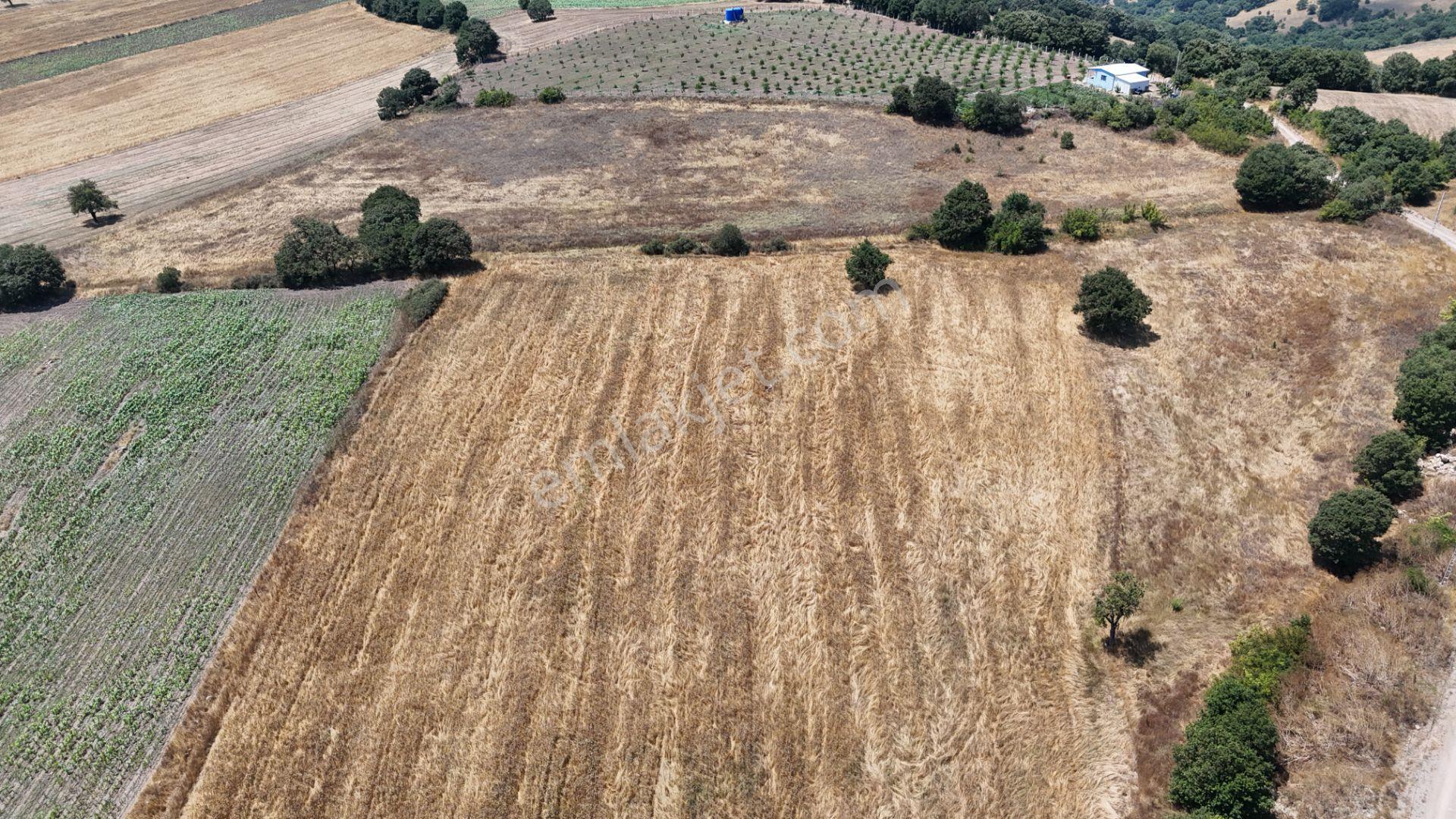 Rookzbalşehir'den Çanacık Mah. Satılık 17.629 M2 Tarla - Görsel 5