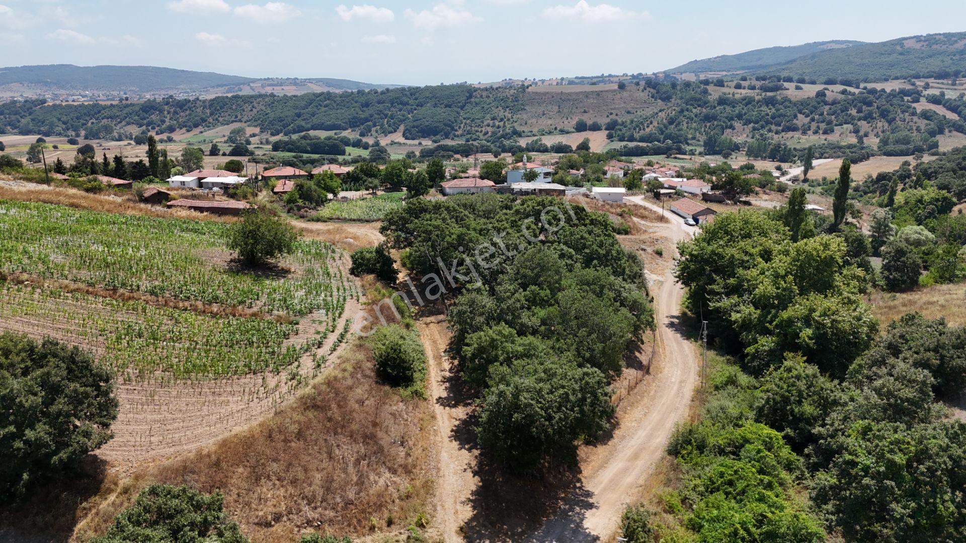 Rookzbalşehir'den Çanacık Mah. Satılık 17.629 M2 Tarla - Görsel 11