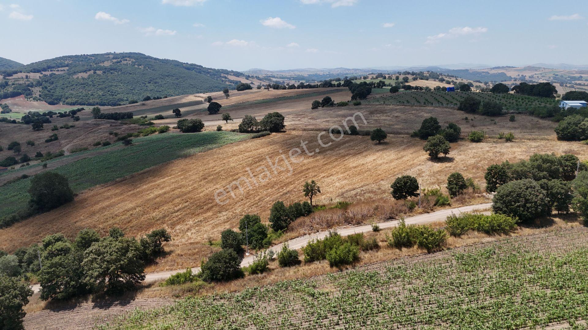 Rookzbalşehir'den Çanacık Mah. Satılık 17.629 M2 Tarla - Görsel 35
