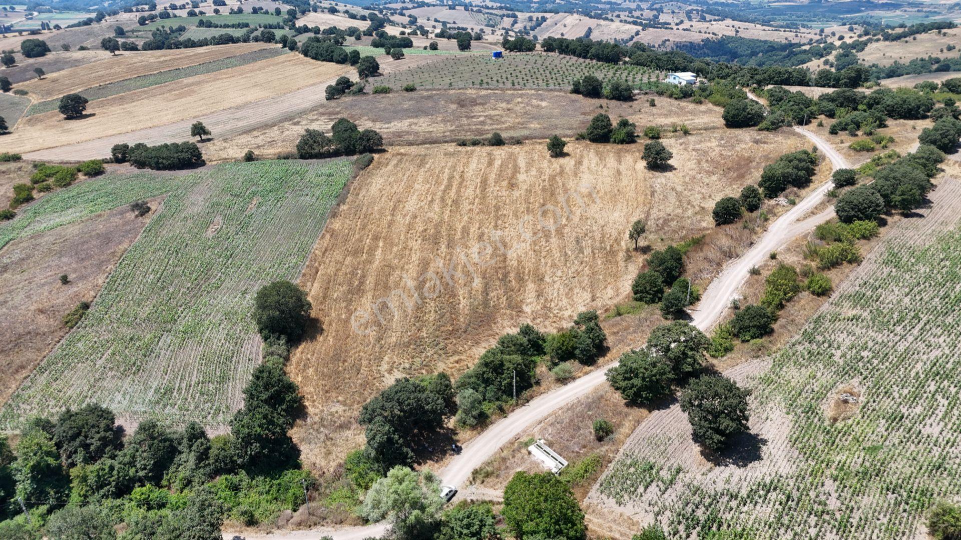 Rookzbalşehir'den Çanacık Mah. Satılık 17.629 M2 Tarla - Görsel 9