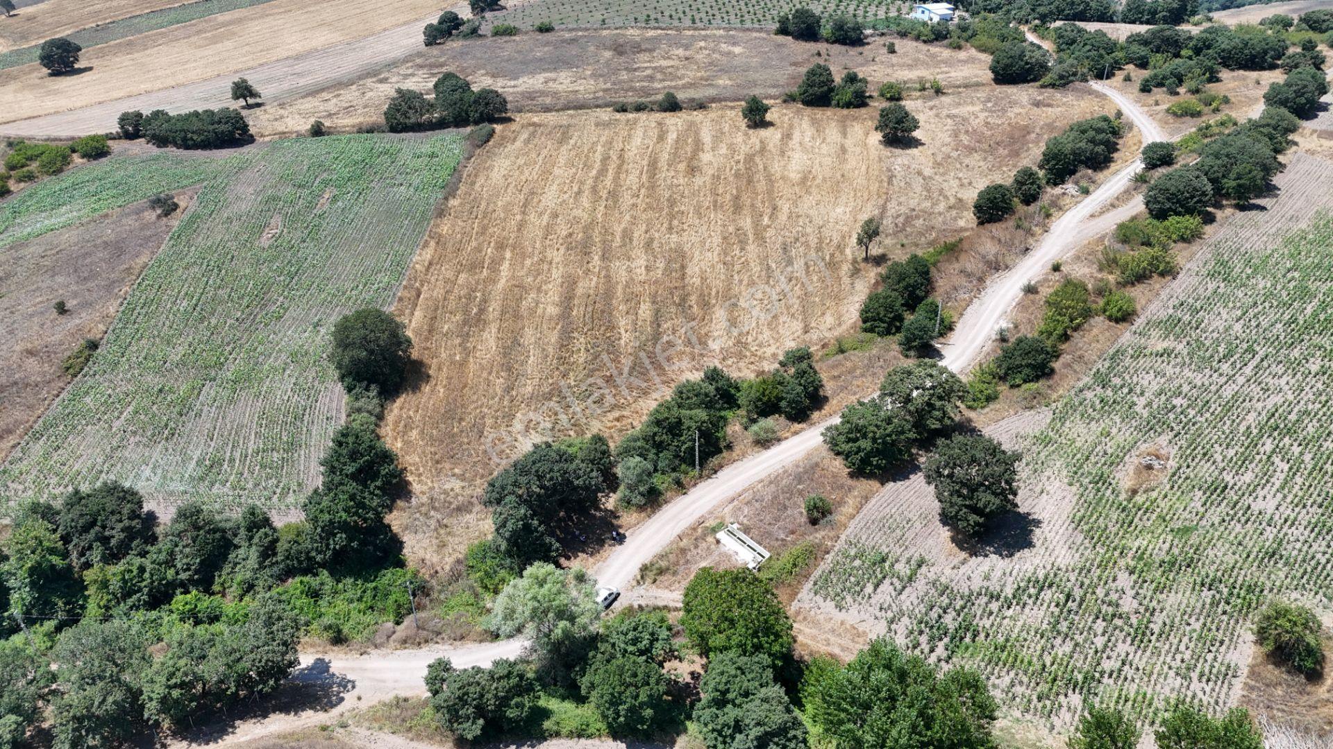 Rookzbalşehir'den Çanacık Mah. Satılık 17.629 M2 Tarla