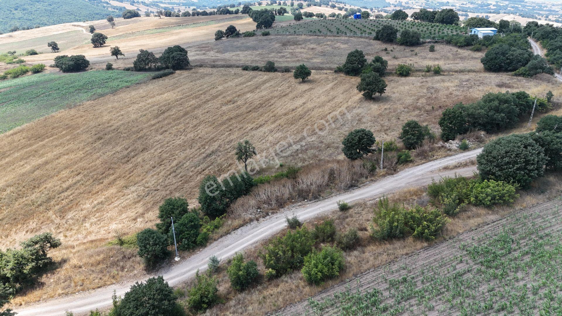 Rookzbalşehir'den Çanacık Mah. Satılık 17.629 M2 Tarla - Görsel 37