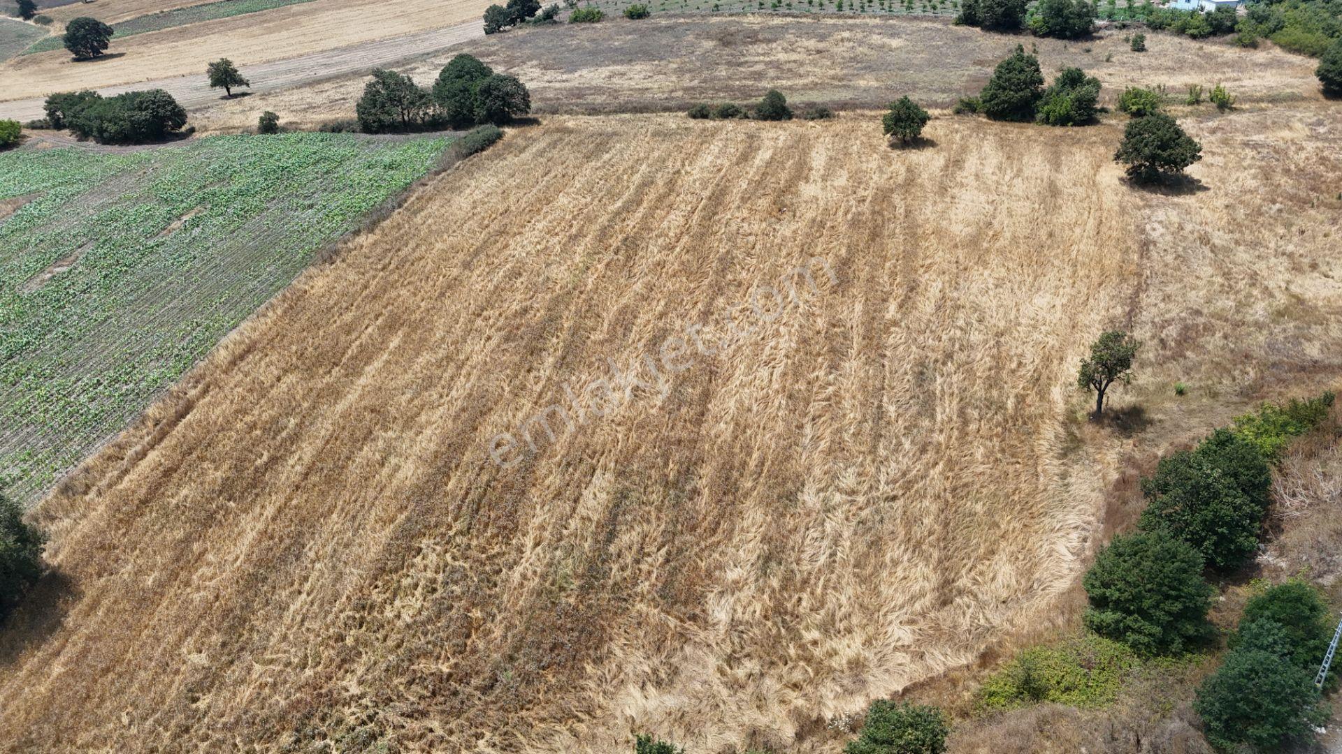 Rookzbalşehir'den Çanacık Mah. Satılık 17.629 M2 Tarla - Görsel 42