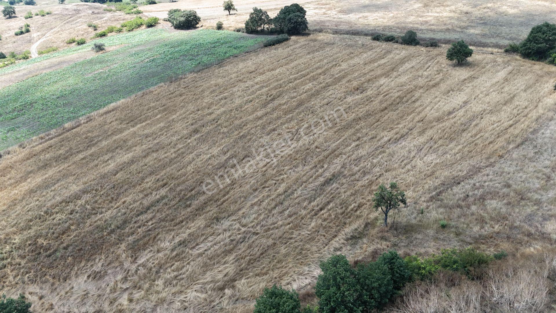 Rookzbalşehir'den Çanacık Mah. Satılık 17.629 M2 Tarla - Görsel 40
